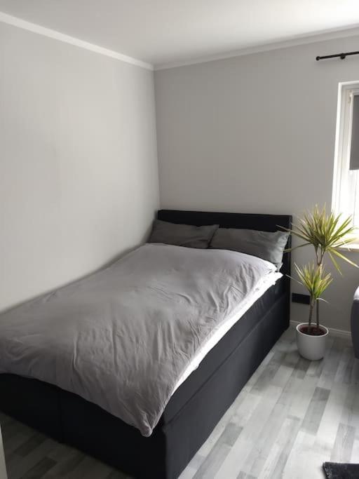 Apartment In 브레머하펜 외부 사진